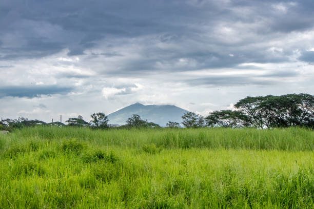 Grassy Field and Arayat Mountain (Volcano) at Dusk - Pampanga, Luzon, Philippines